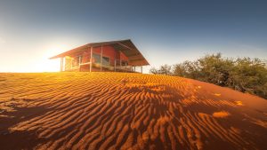 Bagatelle Kalahari Game Ranch