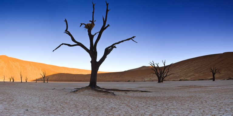 Sossusvlei Deadvlei