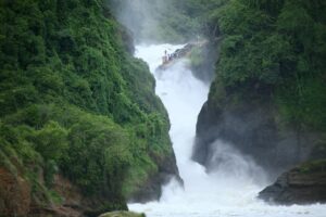 Murchison Wasserfall