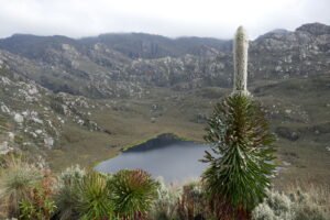 Uganda Rwenzori