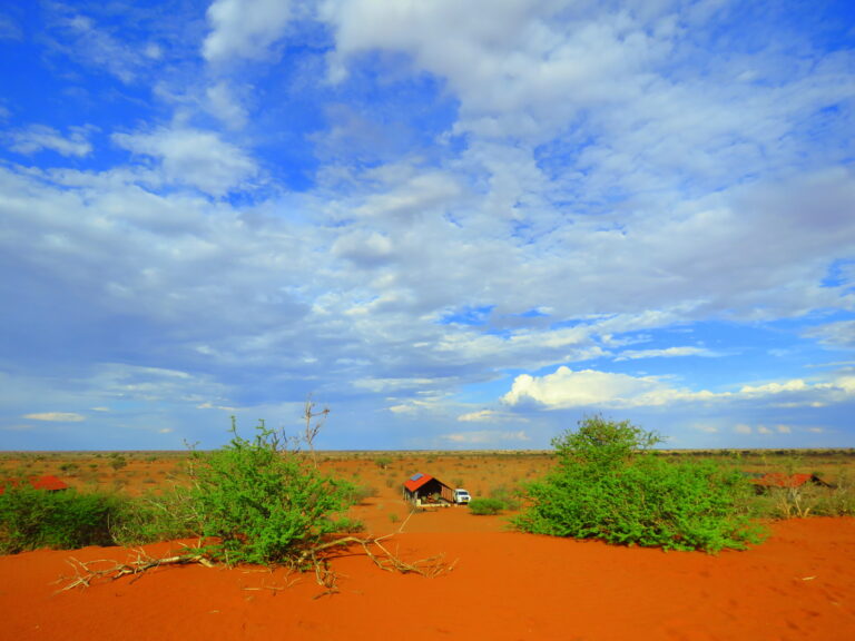 Hütte in roter Kalahari Landschaft