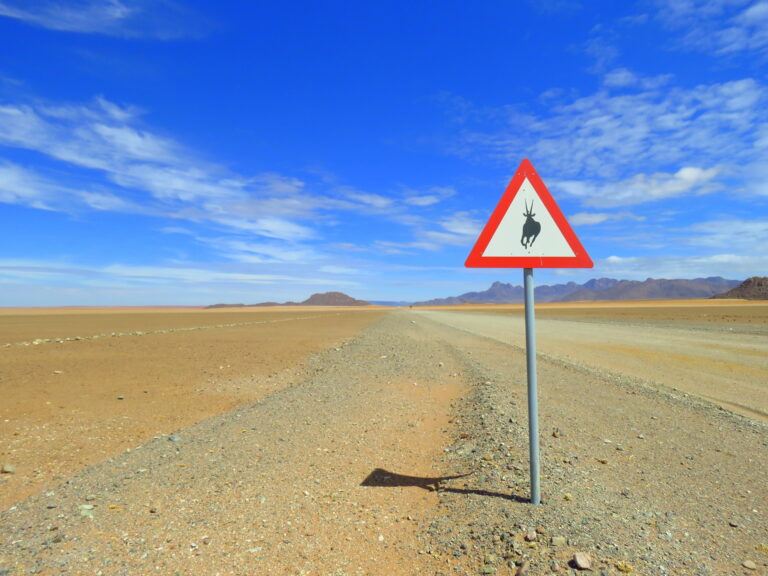 Namibia Landschaft mit Springbock Straßenschild