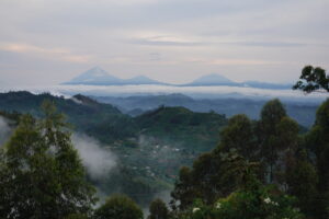 Uganda Virungas Blick vom Nkuringo