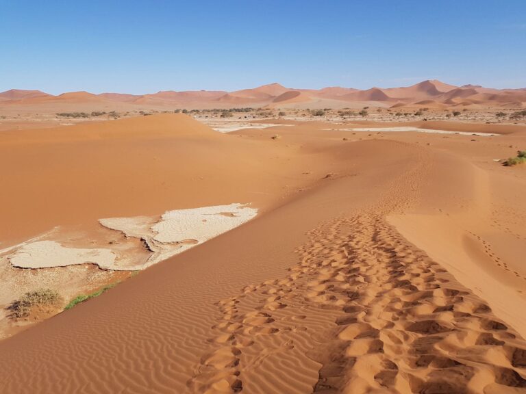 Deadvlei Aussicht auf Wüste