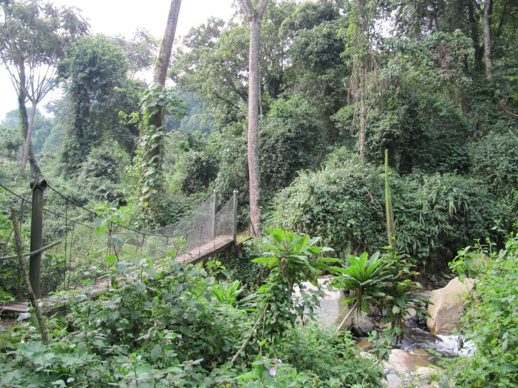 Rwenzori Trekking Lake Mahoma