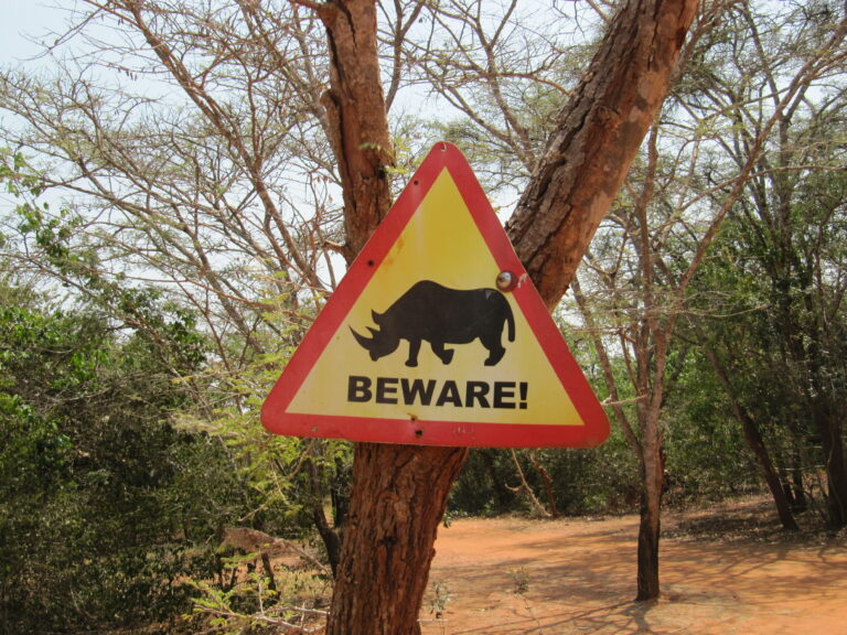 Ziwa Rhino Sanctuary