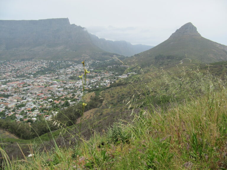 Tafelberg Blick vom Signal Hill