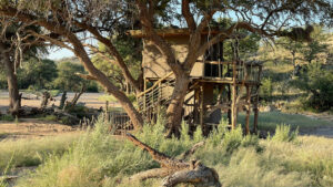 Hobatere Lodge Treehouse