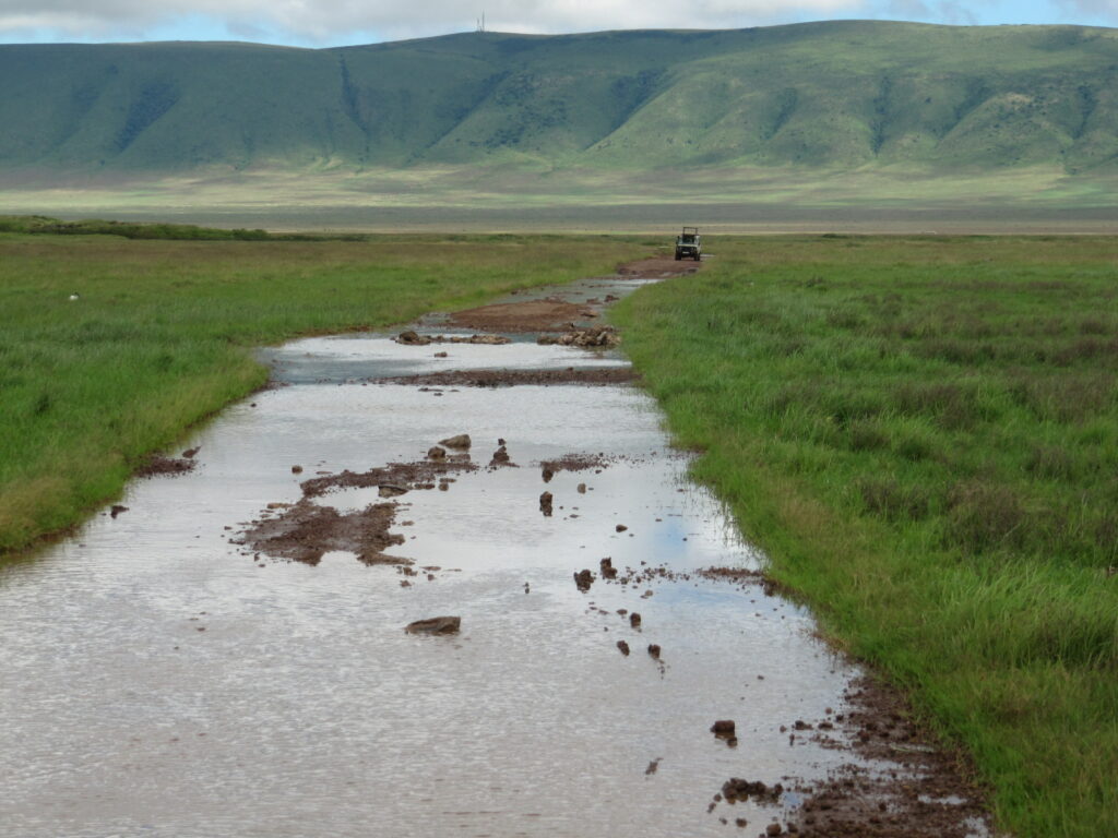 Ngorongoro Krater Game Drive