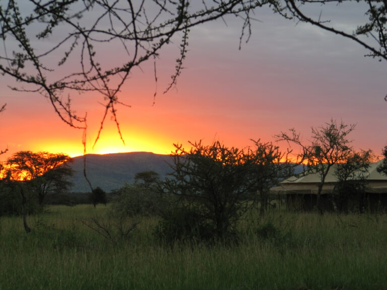 Sonnenuntergang im Serengeti Tented Camp