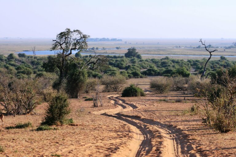 Chobe Sandstraße und Fluss im Hintergrund