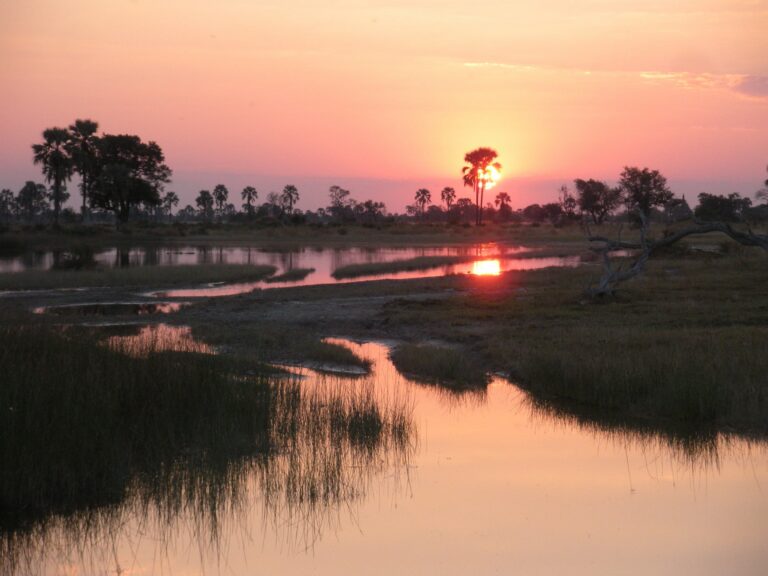 Okavango Delta Sonnenuntergang am Wasser