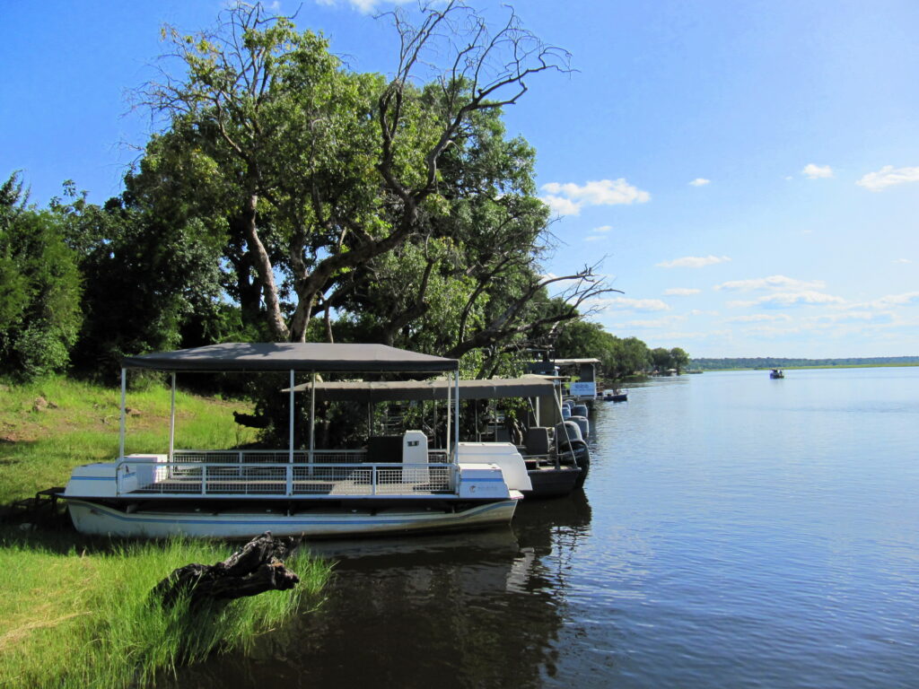 Chobe Nationalpark Fluss Safari