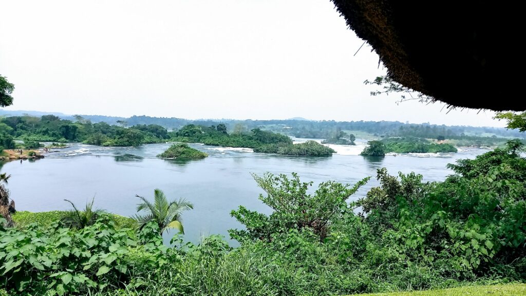 Jinja Victoriasee Ausblick