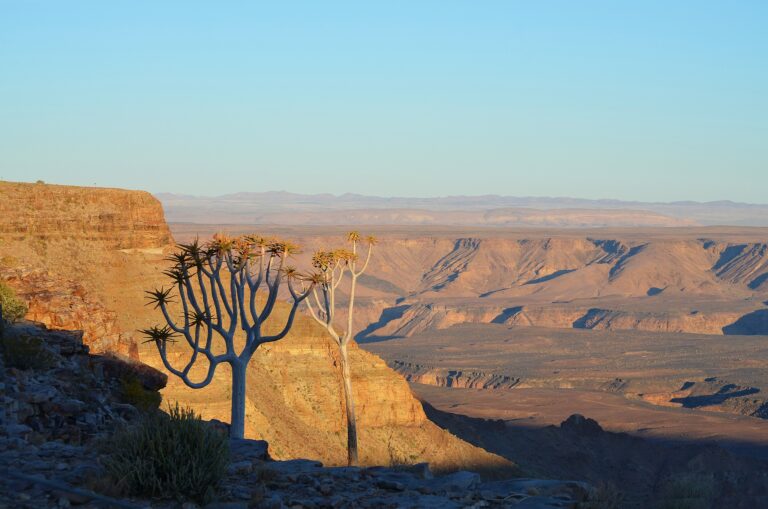 Fish River Canyon Ausblick