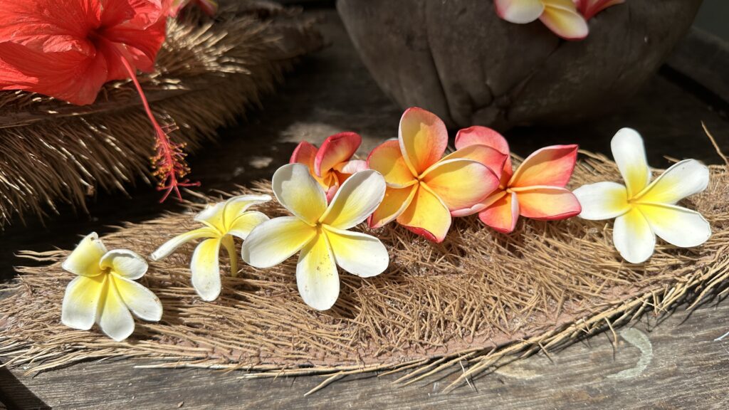 Seychellen Flitterwochen