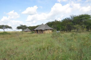 Cherero Camp Bungalows