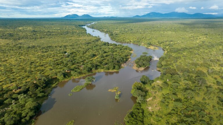 Nyerere Nationalpark Fluss Luftansicht