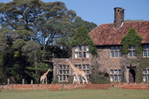 Giraffe Manor Garten mit 2 Giraffen