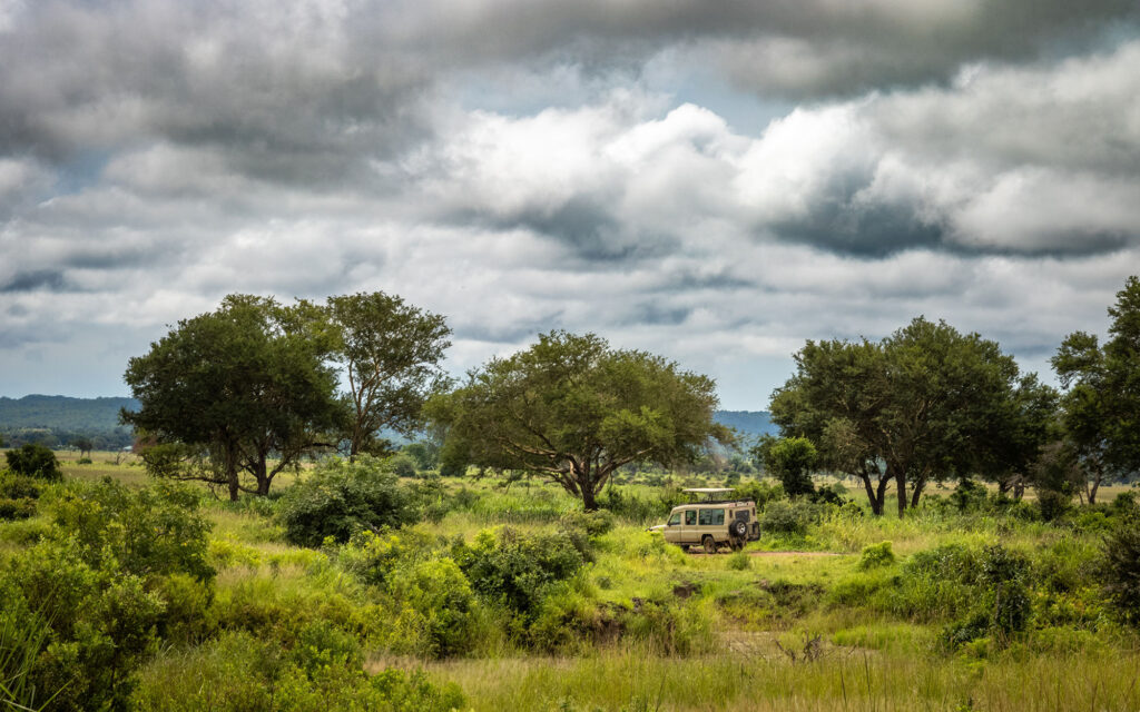 Mikumi Nationalpark in Süd-Tansania