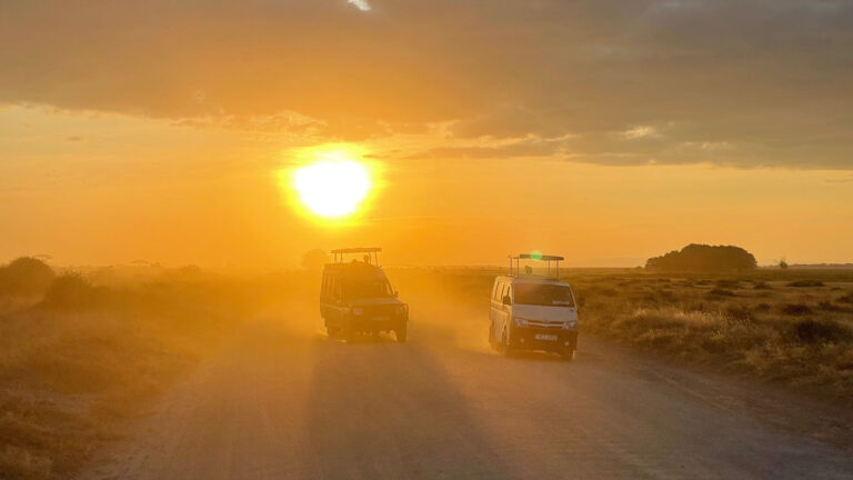 Serentgeti Sonnenuntergang auf Fahrt